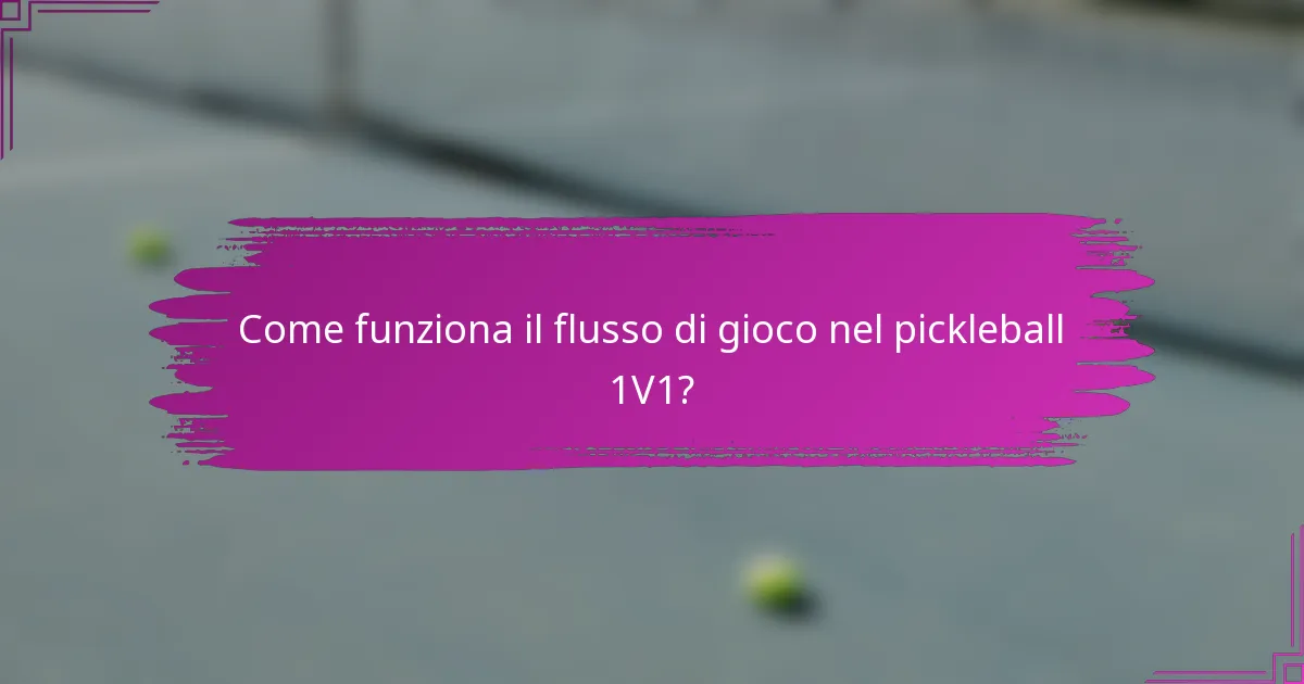 Come funziona il flusso di gioco nel pickleball 1V1?